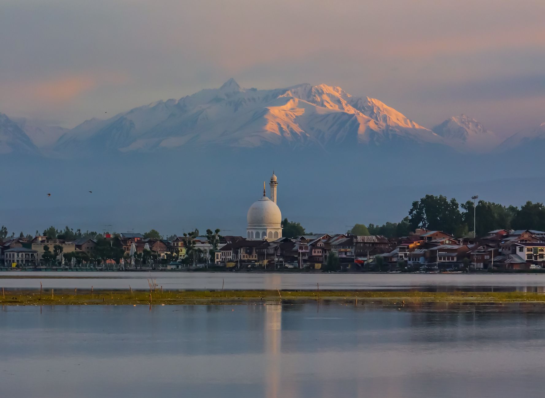 Elite Shahi Travels Kashmir travel guest journey